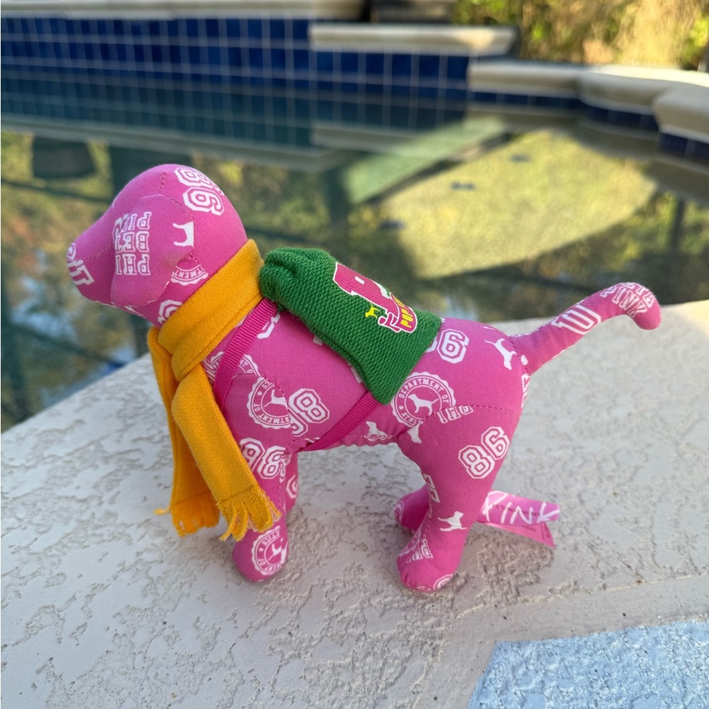 VS Pink College Dog 🤍